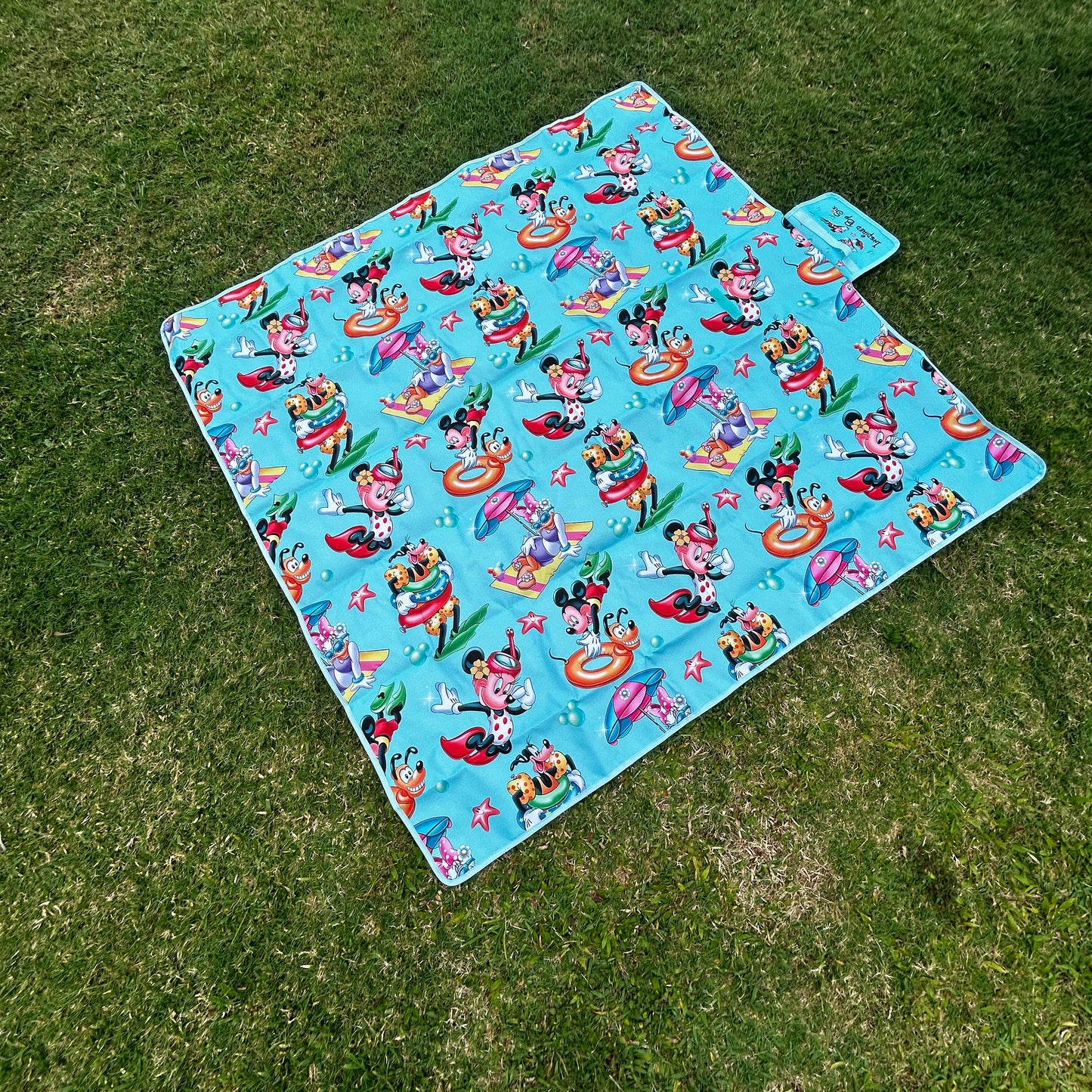 Beach/Picnic Mats