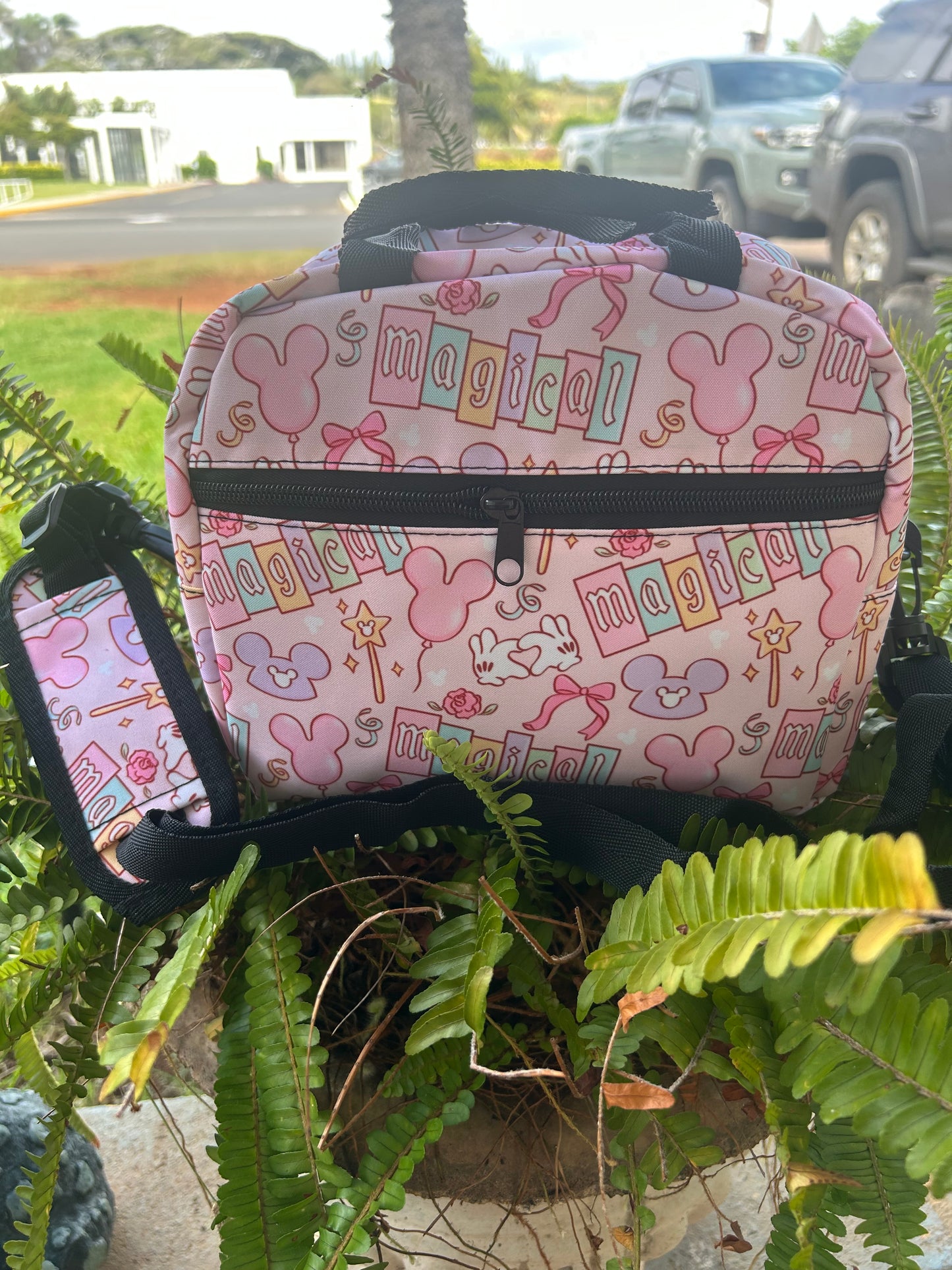 Lunch Bags....SALE