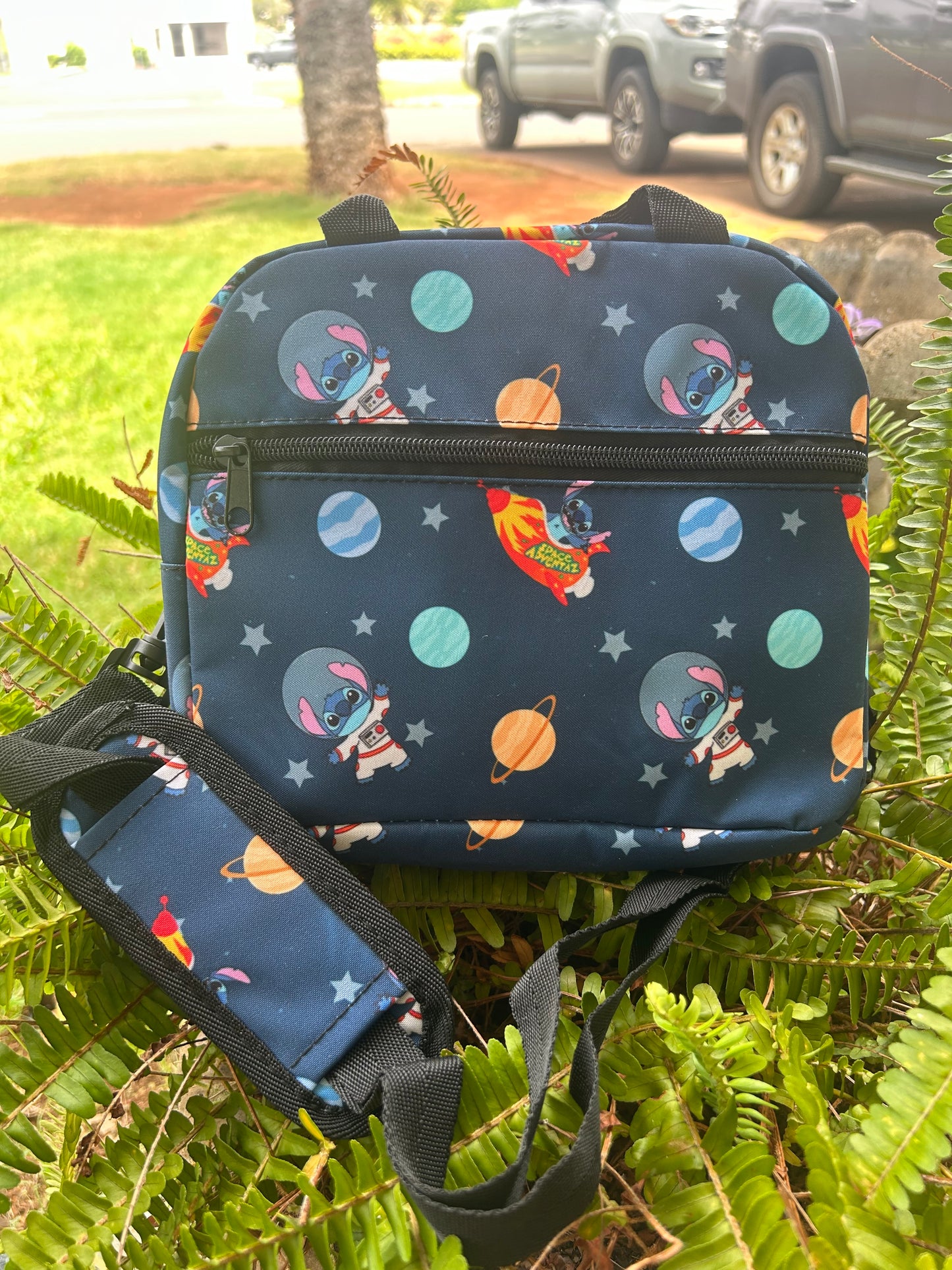 Lunch Bags....SALE