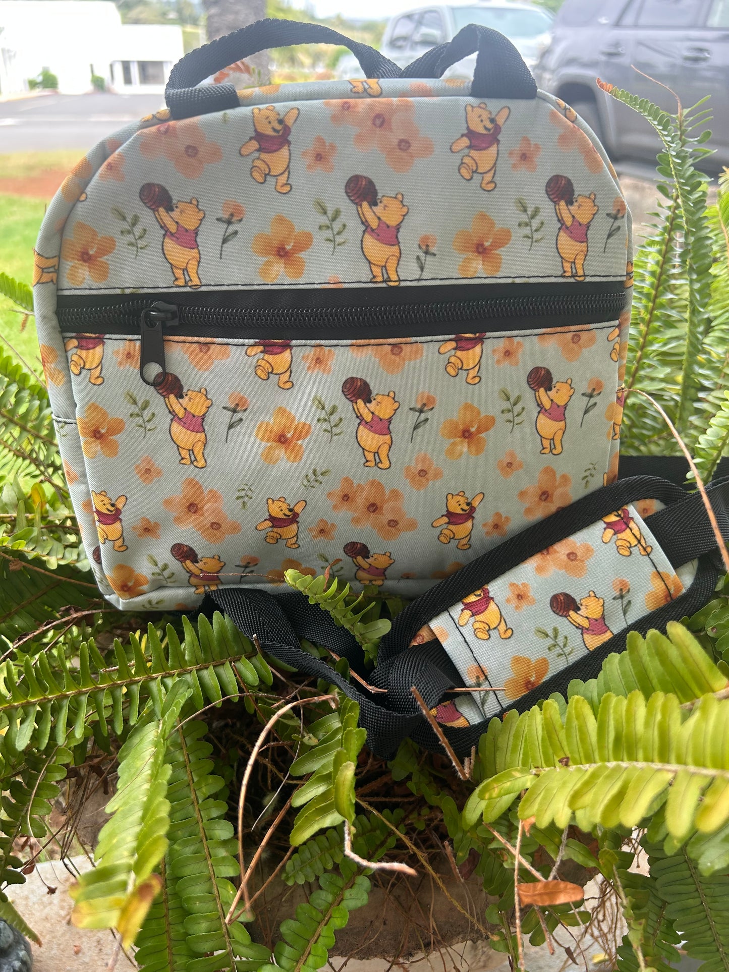 Lunch Bags....SALE