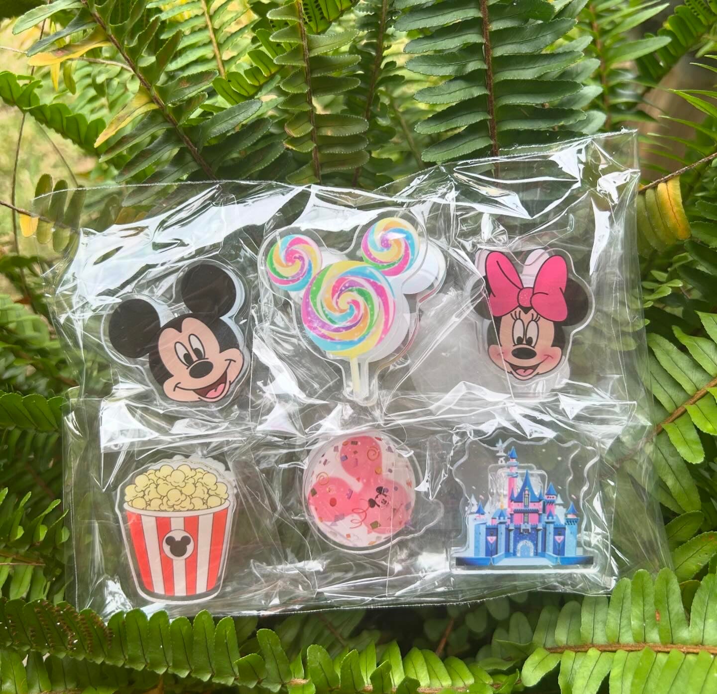 Paper/ Chip Clips