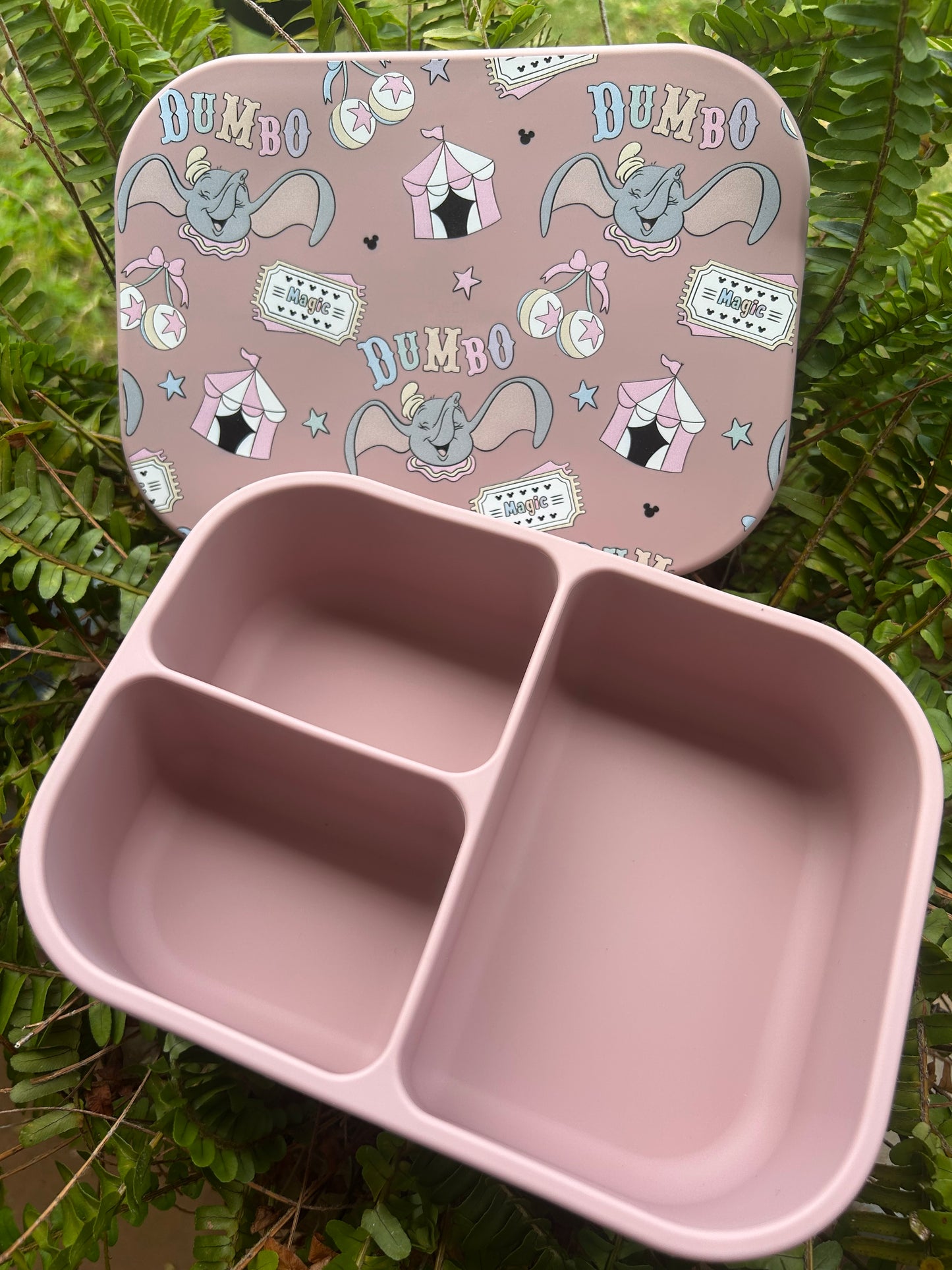 Bento Boxes...SALE
