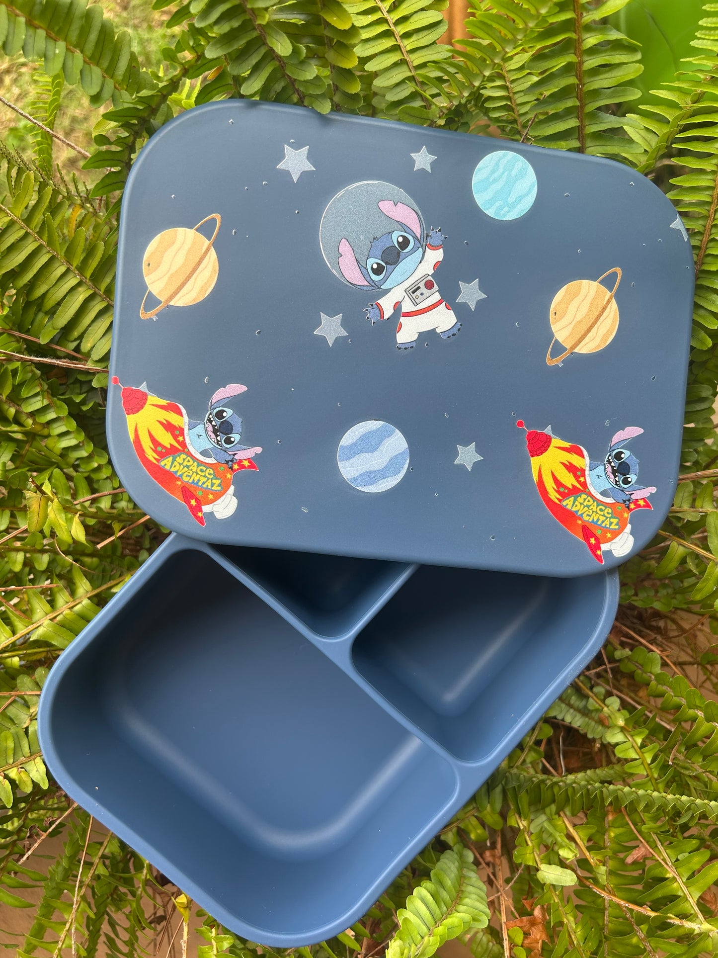 Bento Boxes...SALE