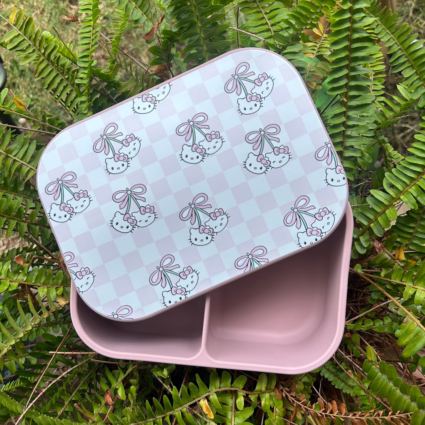 Bento Boxes...SALE