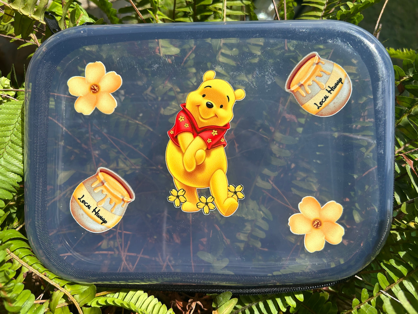 Clear Zippered Storage Cases