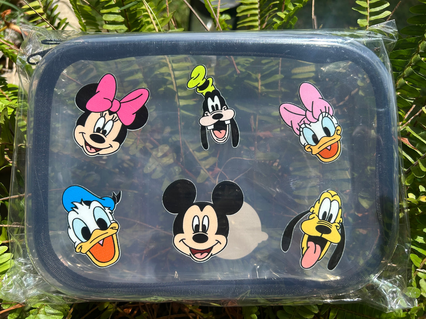Clear Zippered Storage Cases