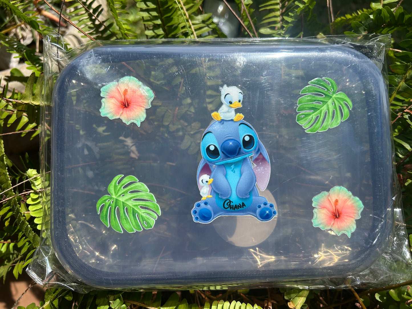 Clear Zippered Storage Cases