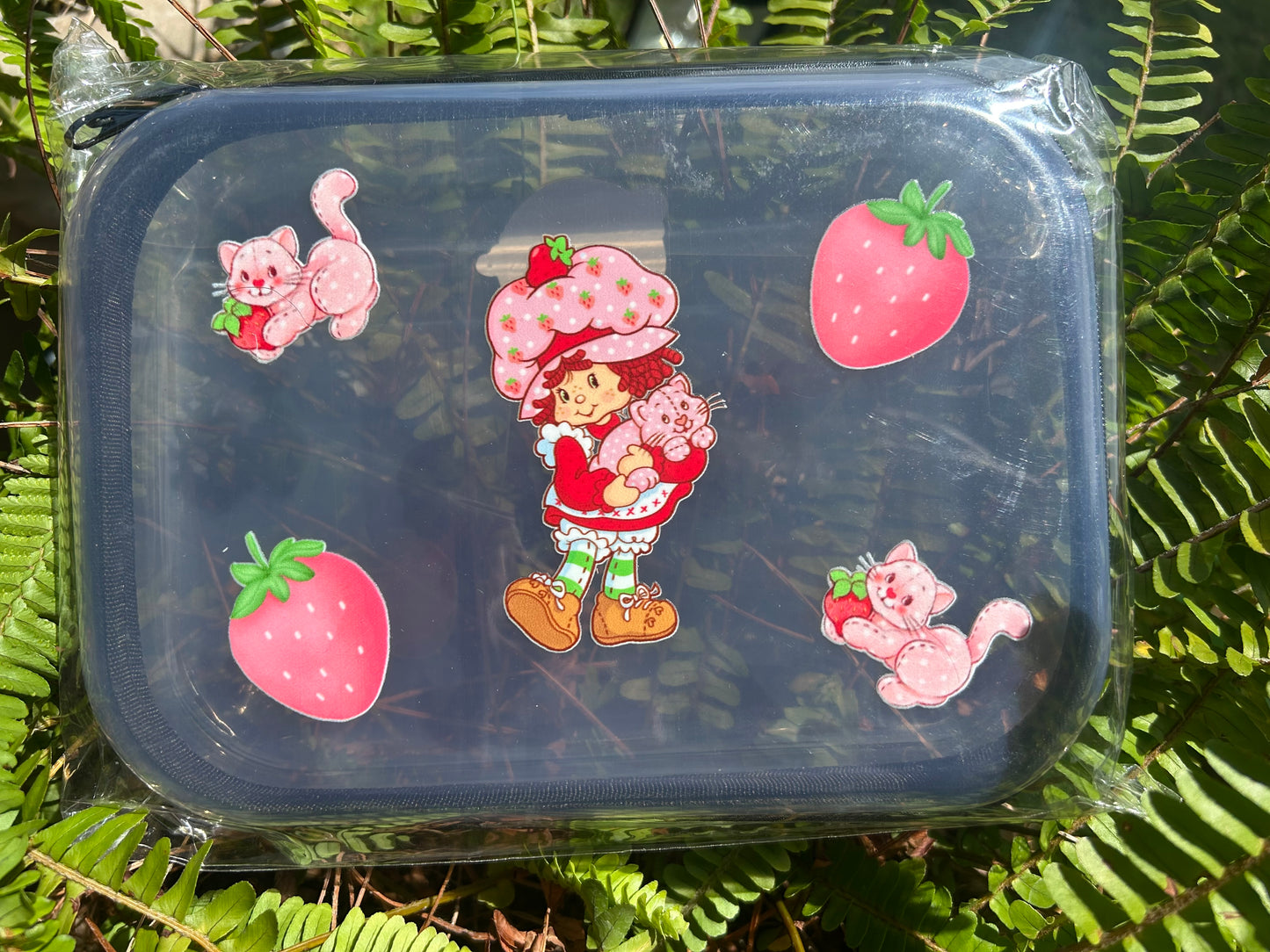 Clear Zippered Storage Cases