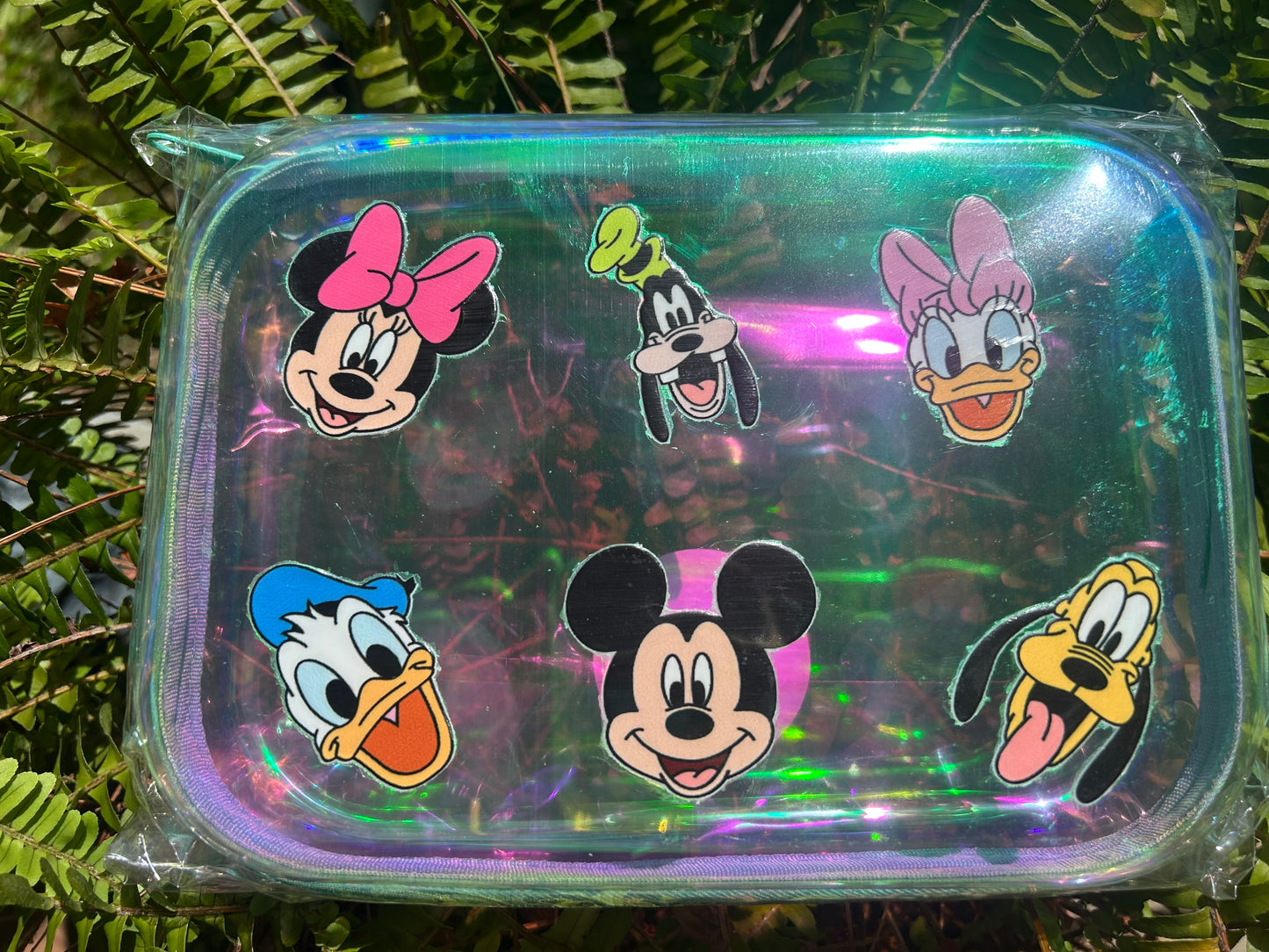 Clear Zippered Storage Cases