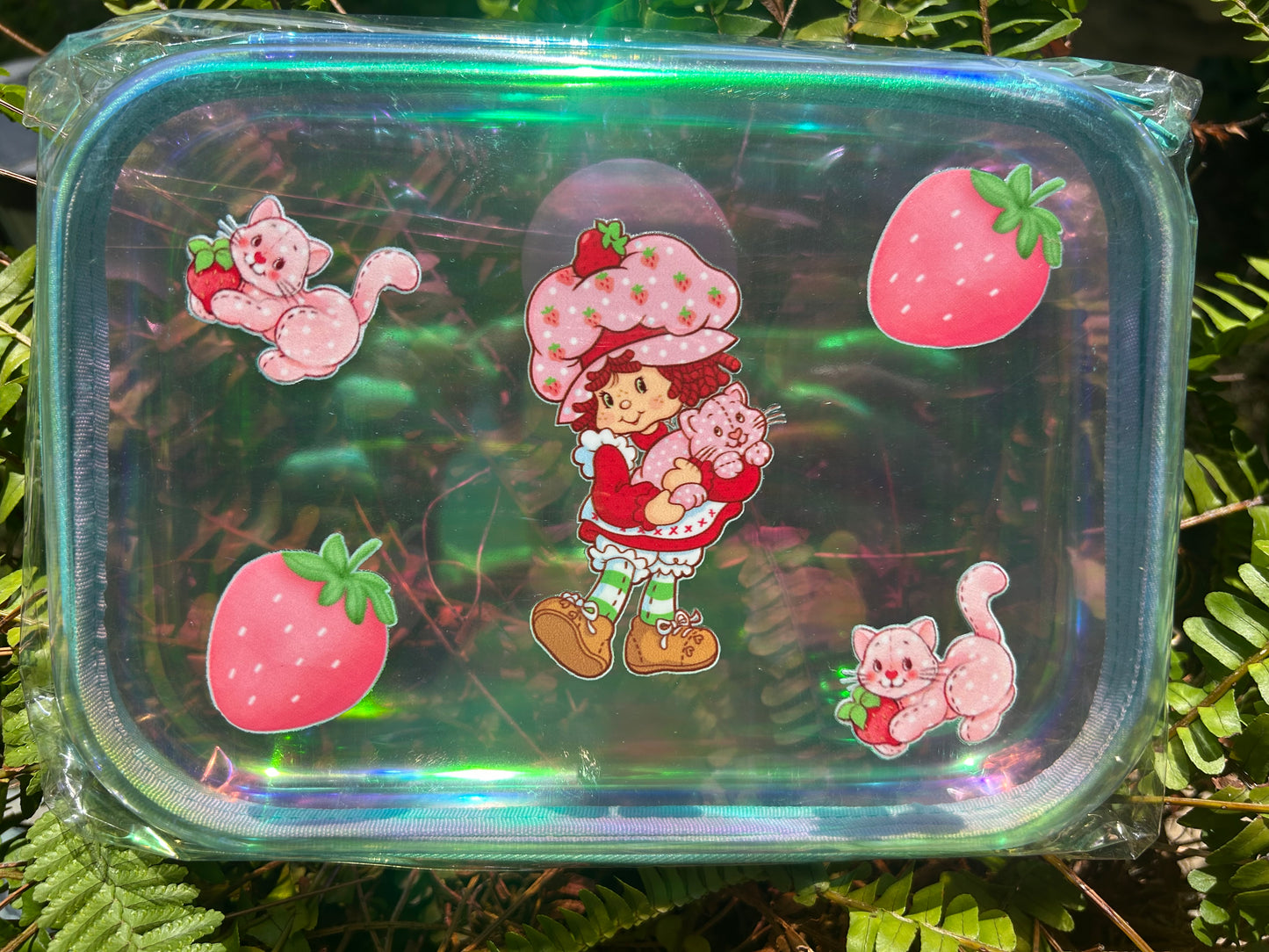 Clear Zippered Storage Cases