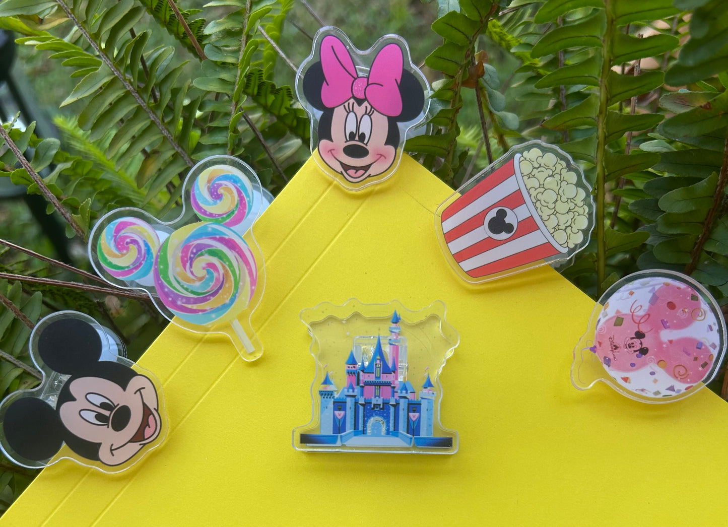 Paper/ Chip Clips