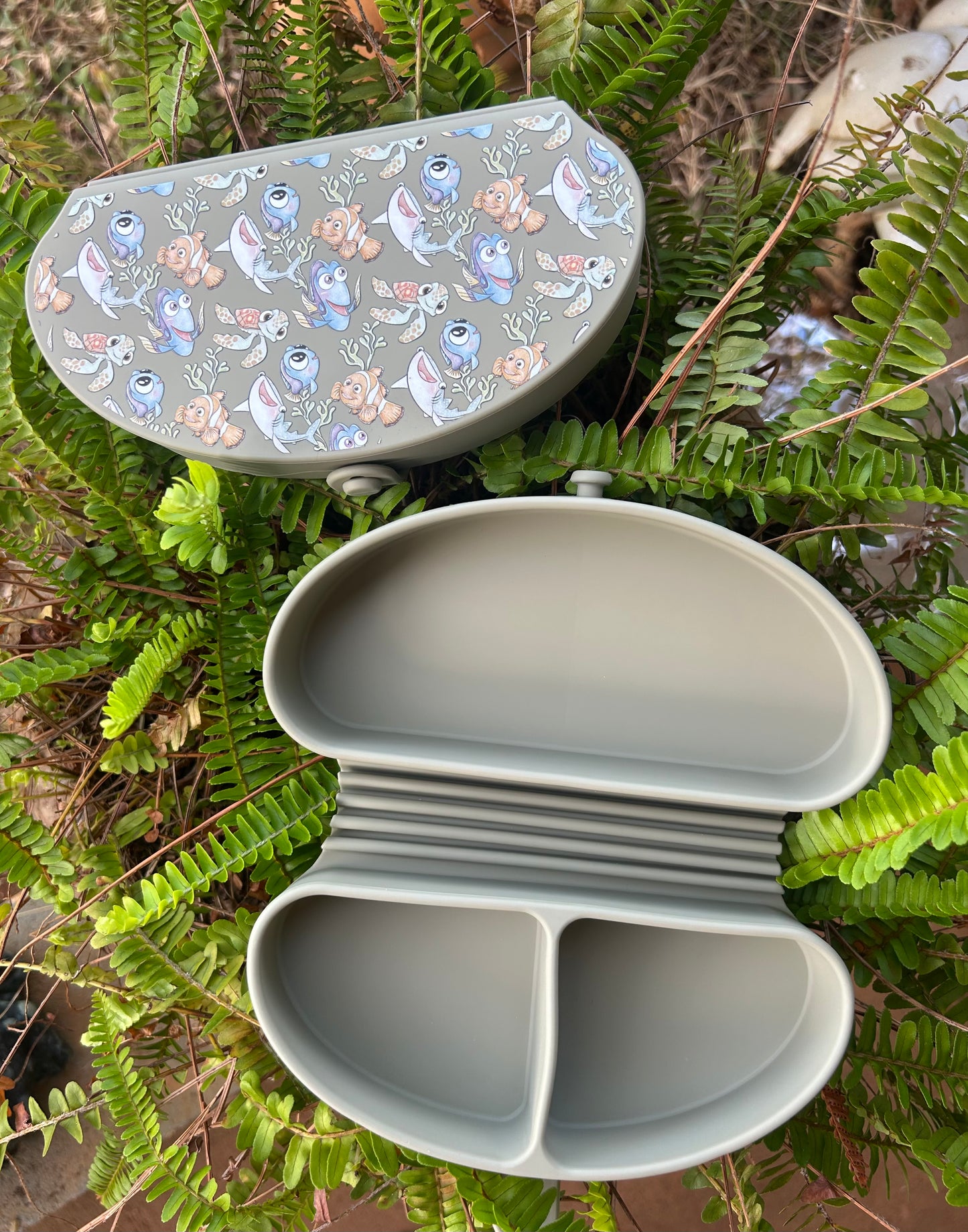 Snack container/plate...SALE