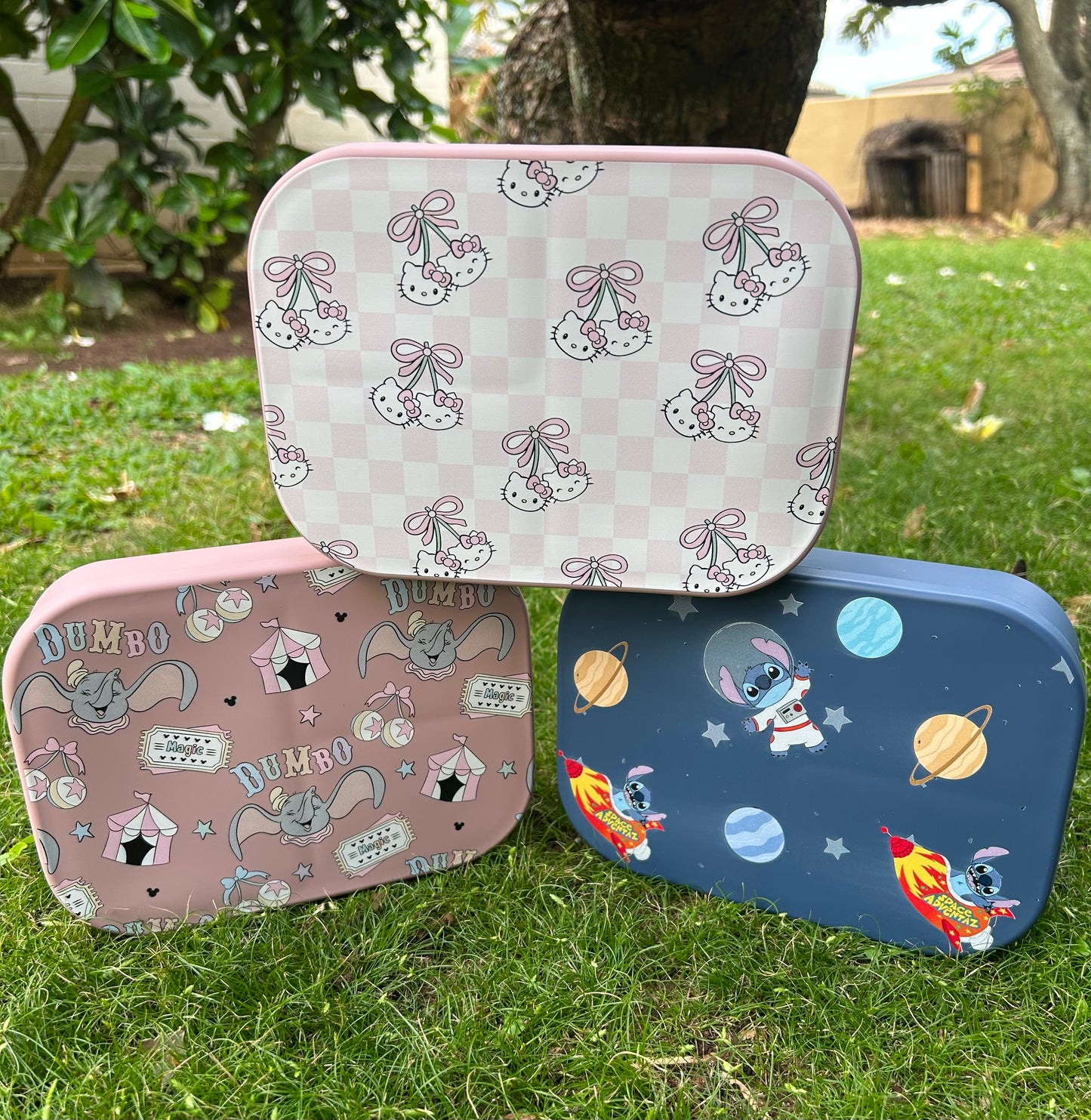 Bento Boxes...SALE