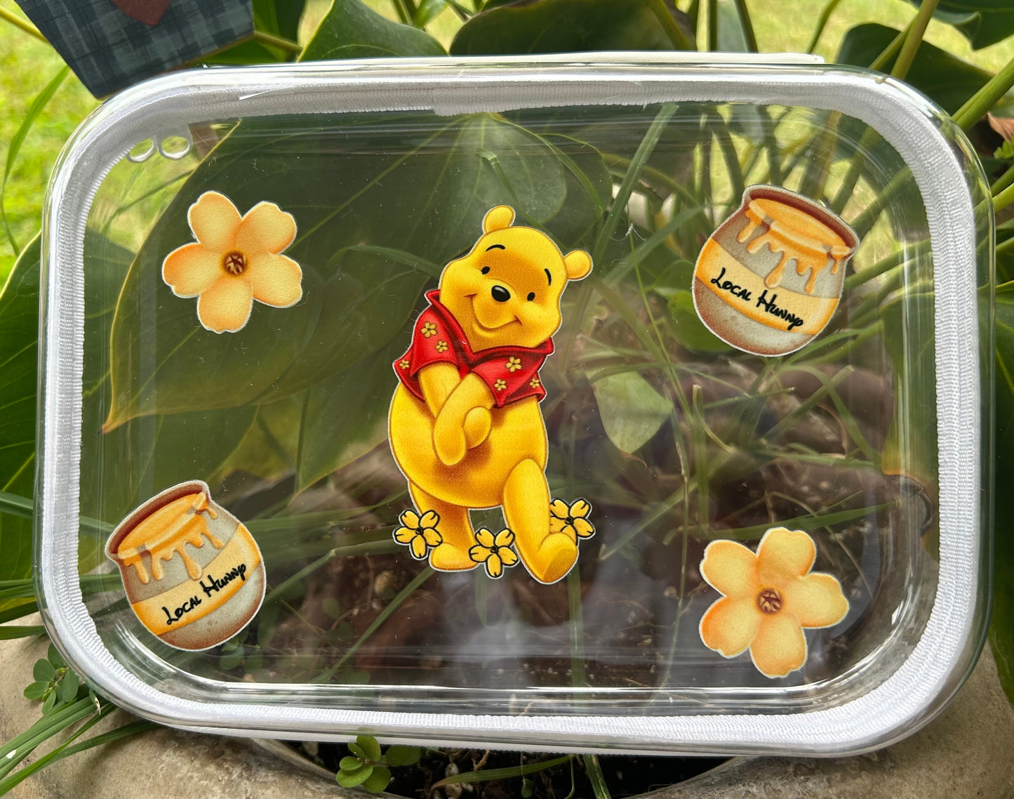Clear Zippered Storage Cases