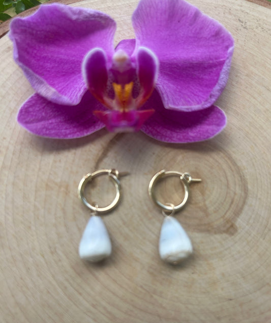 14K Gold Filled Cone Shell Hoops/huggies