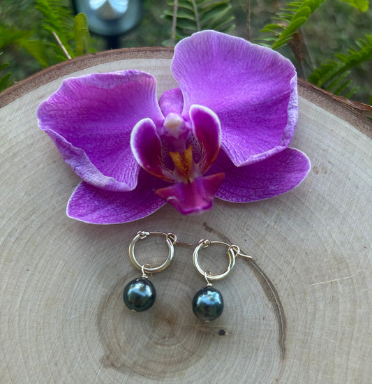 14K Gold Filled Tahitian Pearl Hoops
