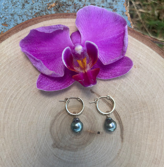 14K Gold Filled medium hoops with Tahitian Pearls