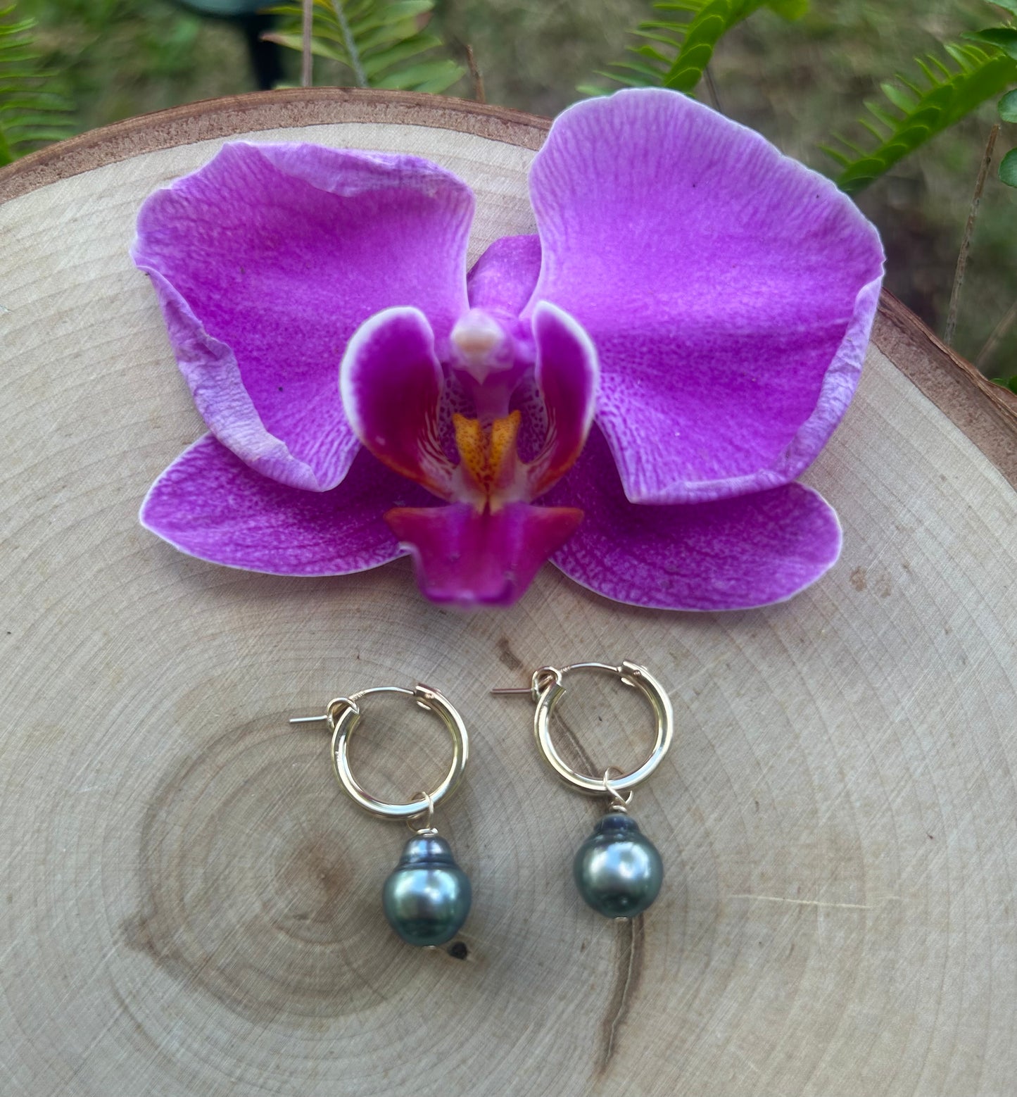 14K Gold Filled medium hoops with Tahitian Pearls