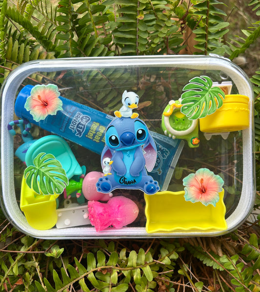 Clear Zippered Storage Cases