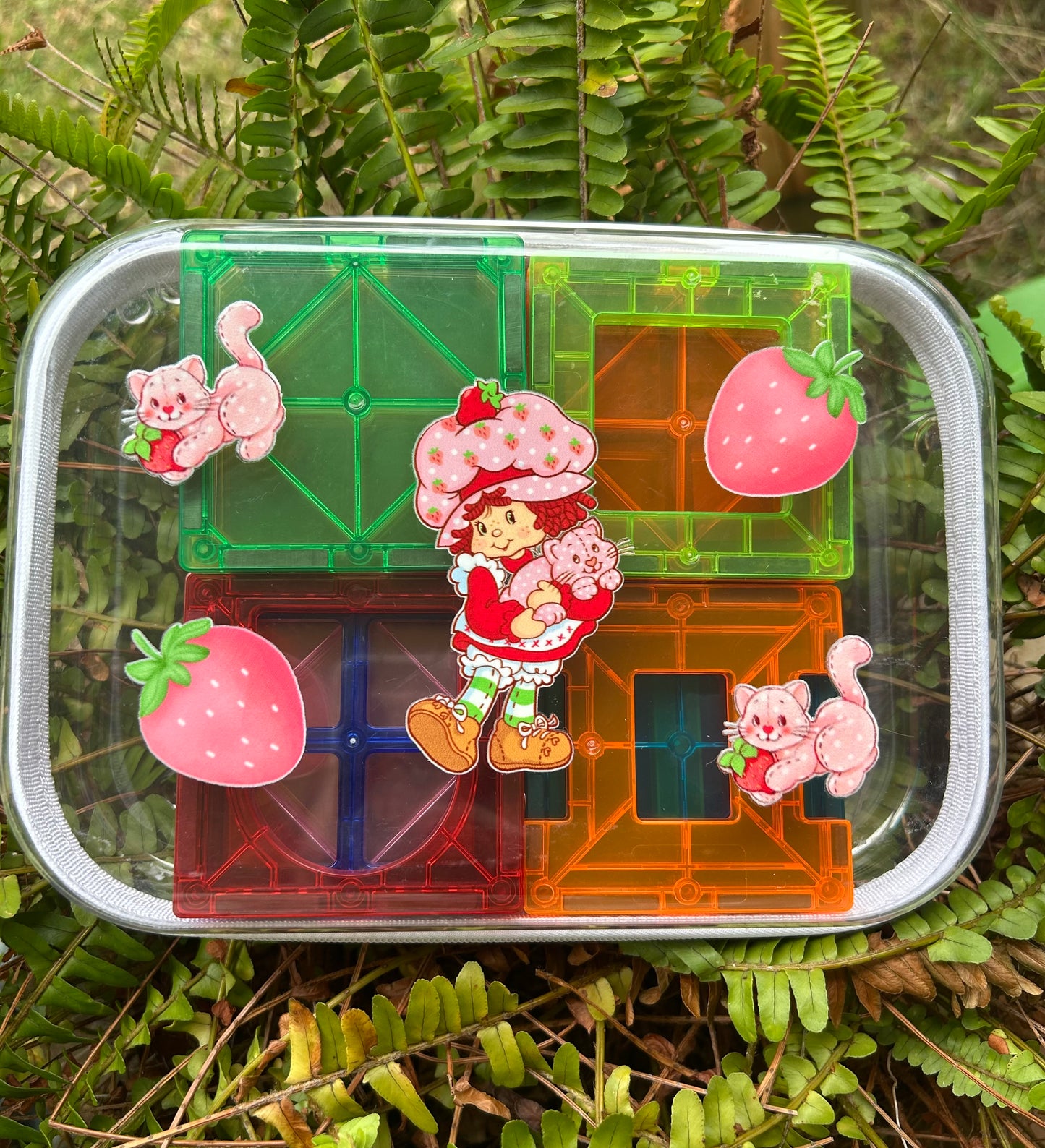 Clear Zippered Storage Cases