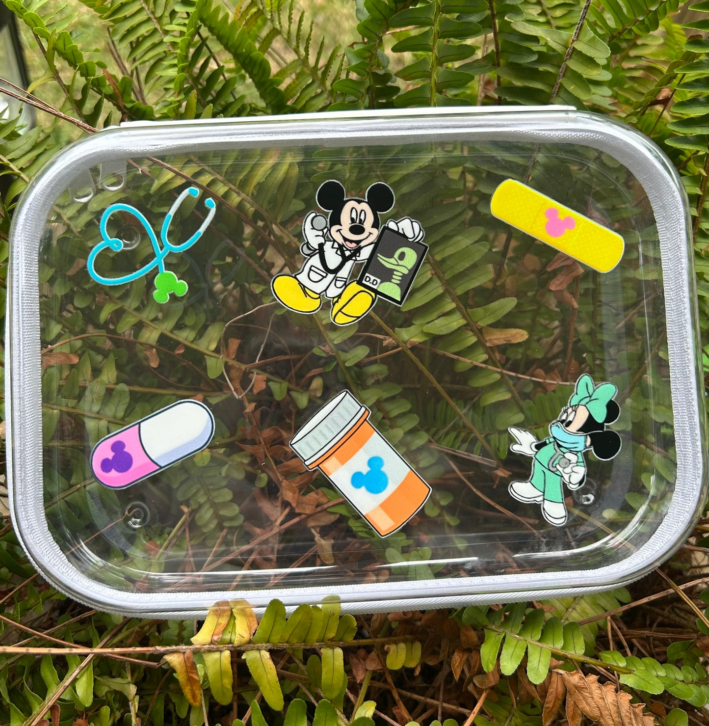 Clear Zippered Storage Cases