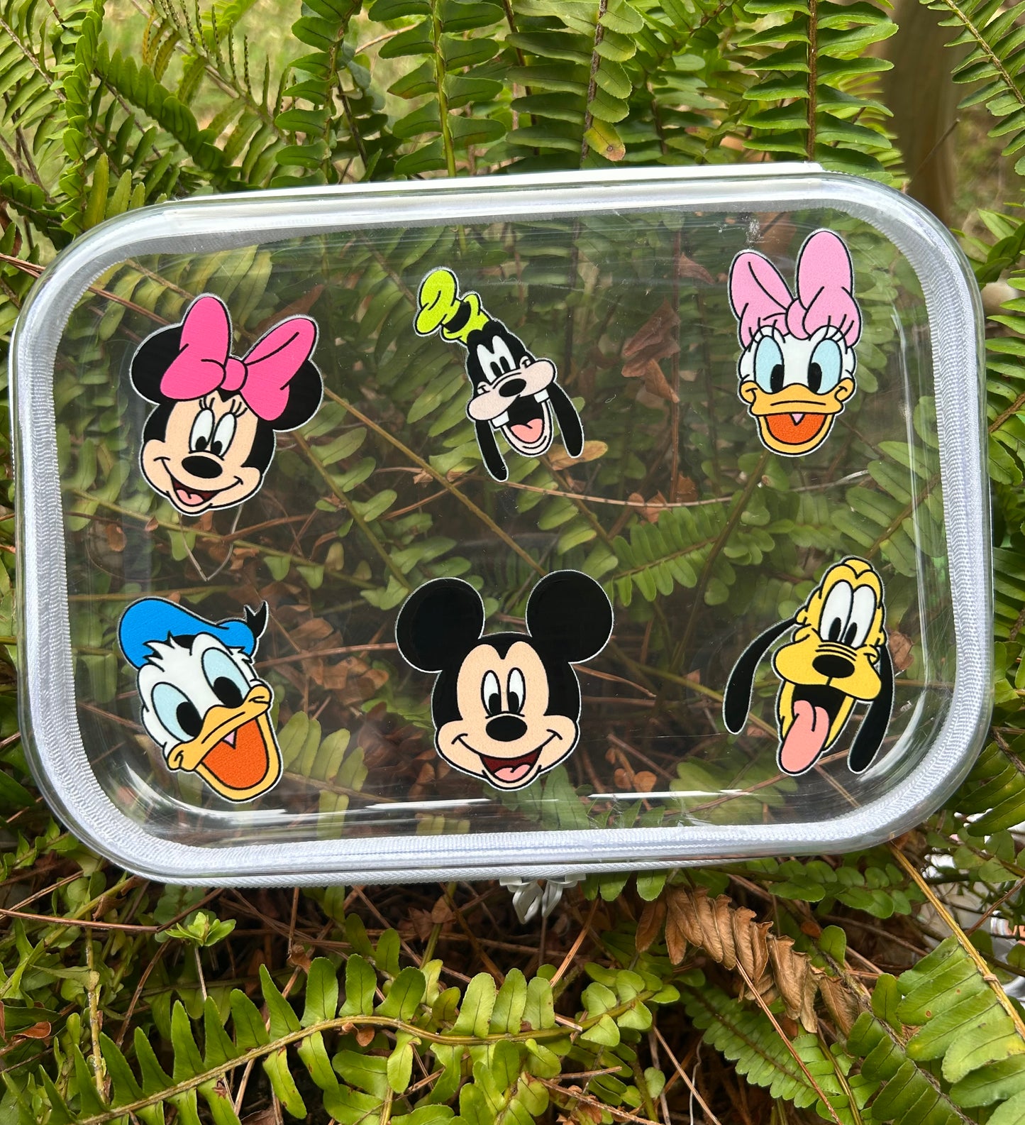 Clear Zippered Storage Cases