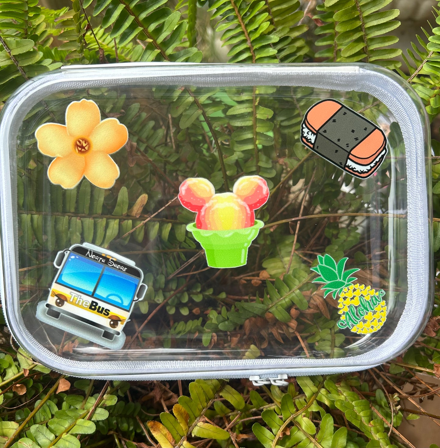 Clear Zippered Storage Cases