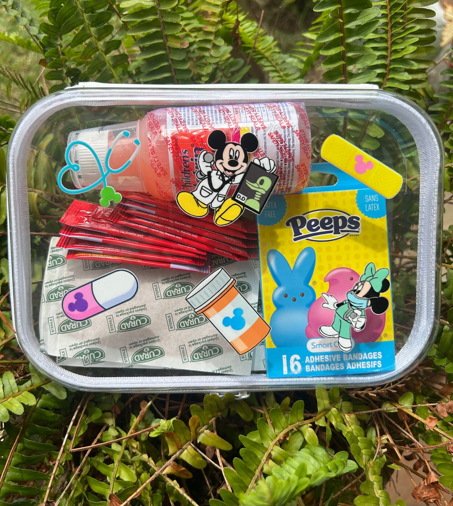 Clear Zippered Storage Cases